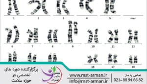 Perform karyotype testing | کاریوتیپ چیست؟