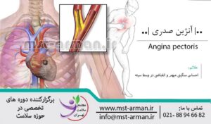 بیماری های قلبی عروقی | about Angina pectoris