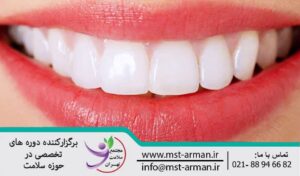 4 main groups of teeth | 4گروه اصلی دندان