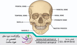 نمای فوقانی