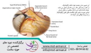 Dangerous areas and clinical | مناطق خطرناک عصب بوکال و زایگوماتیک