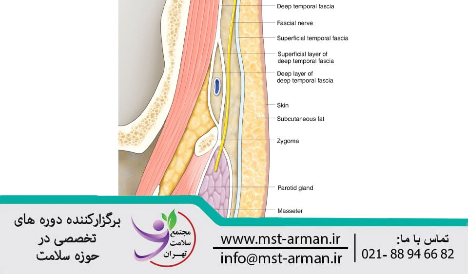 مجتمع سلامت تهران