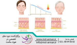 روند پیری صورت | skin aging