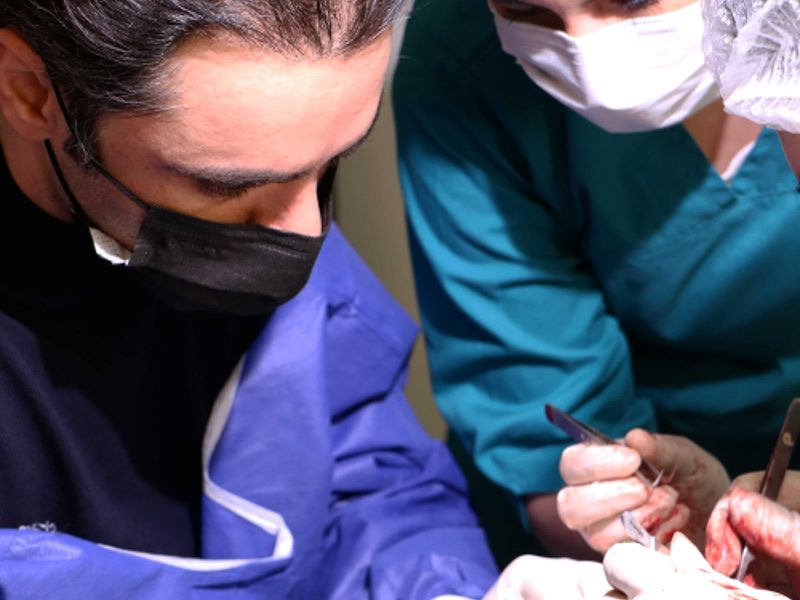 دوره کاشت مجتمع سلامت تهران | دوره آموزشی کاشت مو ابرو | Hair and eyebrow transplant training course