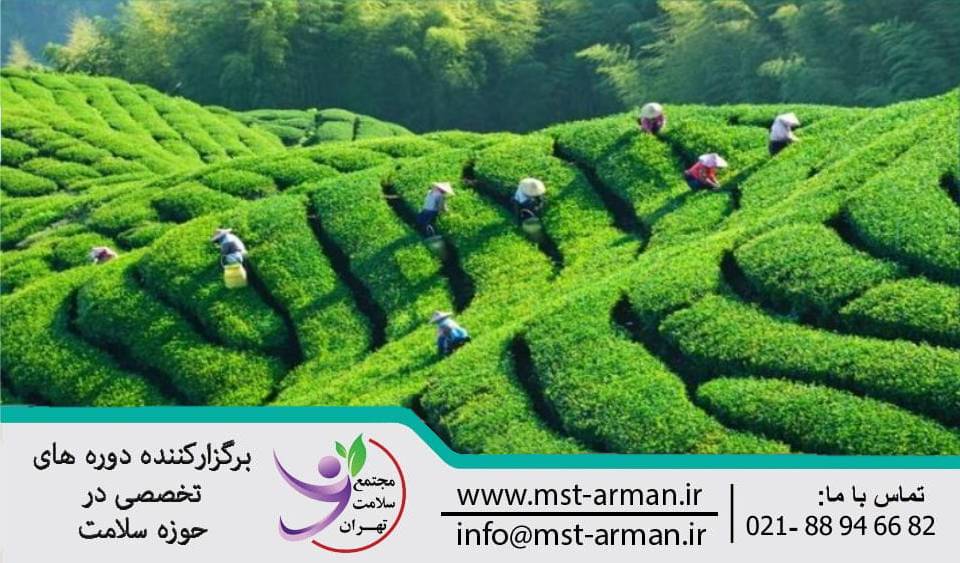 بهترین مراکز آموزش کاشت مو در لاهیجان